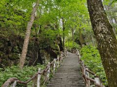 -汤旺河林海奇石景区