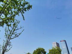 -映月湖中央公园