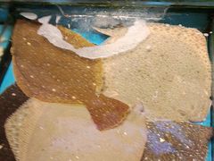 -添福来墨鱼饺子 · 海鲜东北菜(大连星海·黄浦路店)