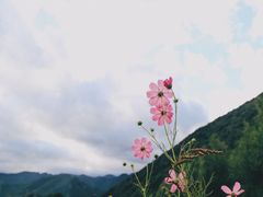-本溪汤沟绿石谷森林公园