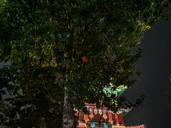-杨家埠民间艺术大观园