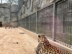 -石家庄市动物园