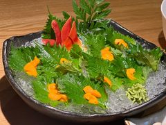 海胆刺身-初花·日本料理