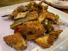 -顺德了能馆(虎门店)