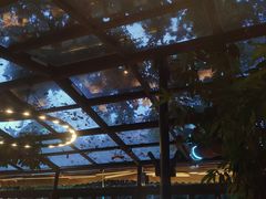 -海岛八号龙虾烧烤田鸡(蓝天路总店)