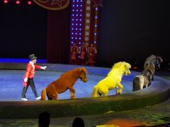 -珠海横琴长隆《卡卡虎奇遇记》