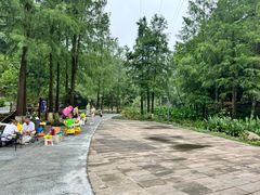 -重庆彩云湖湿地公园