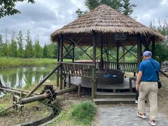 -溱湖国家湿地公园