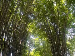 -成都杜甫草堂博物馆