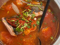 -风鑫铃罗非鱼(道沟店)