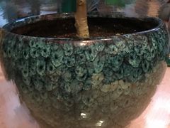 -龙大花卉苗木市场