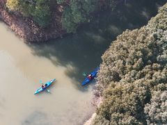 -动邦皮划艇·桨板·独木舟·团建户外运动俱乐部