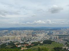 -长虫山生态公园风景林