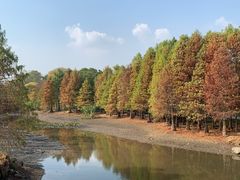 -南京十朝历史文化园-停车场