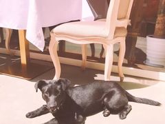 -蝶舍·MAISON PAPILLON