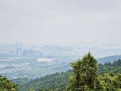 -旺山景区