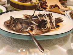 -味到1981日照海鲜·渔饺子