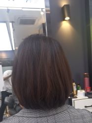 -藤野造型