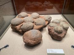 -珠海市博物馆