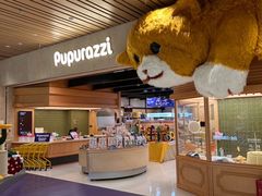 -帕帕拉兹宠物(亚洲旗舰店)