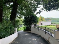 -听风阁农家私房菜茶楼(龙坞店)