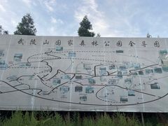 -武陵山森林公园