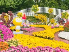 -上海共青森林公园