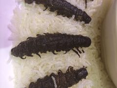 大笮风-大笮风(体育馆总店)