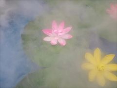 -潇湘楼(环保园店)