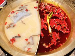鸳鸯锅-小龙坎火锅(春熙太古里店)