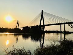 -芒洲湿地公园