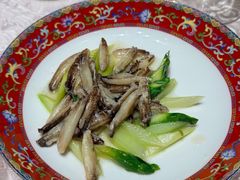 -新光酒家·河豚·海鲜·蟹料理(浦东店)