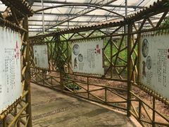 -上海都市菜园