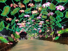 -沈阳奥体冰雪嘉年华