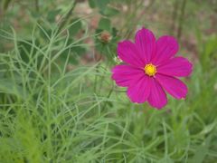 -青峰峡国家森林公园