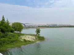 -贡湖湾湿地公园