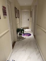 -静博士·养生养颜