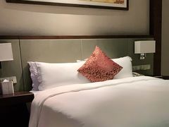 -深圳湾科技园丽雅查尔顿酒店