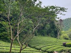 -敬亭山风景名胜区