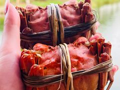 -水岸居湖景农家乐·阳澄湖大闸蟹