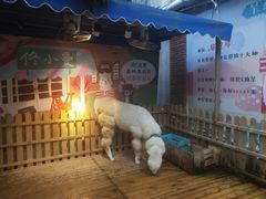 -佟小曼手工茶饼坊(鼓浪屿1店)