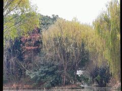 -同里国家湿地公园