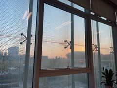 -金陵图书馆