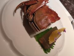 -觀芷隐轩