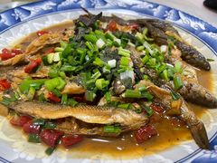 -菜当家