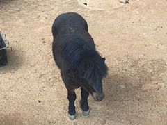 -舟山希尔顿酒店