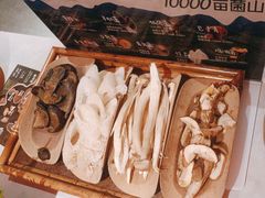 -芸山季·云南野生菌火锅(人民广场来福士店)