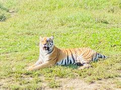-沈阳森林动物园