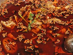 -味之绝热血美蛙鱼火锅(中坝店)