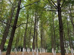 -白马涧龙池景区